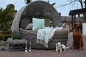 Sonneninsel WT-6001/C58