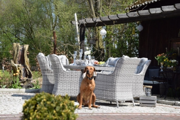 Esstischgruppe.Polyrattan Gartentisch Sitzgruppe WT-4022.C50