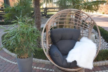 WT-2001  Relax Drehsessel
