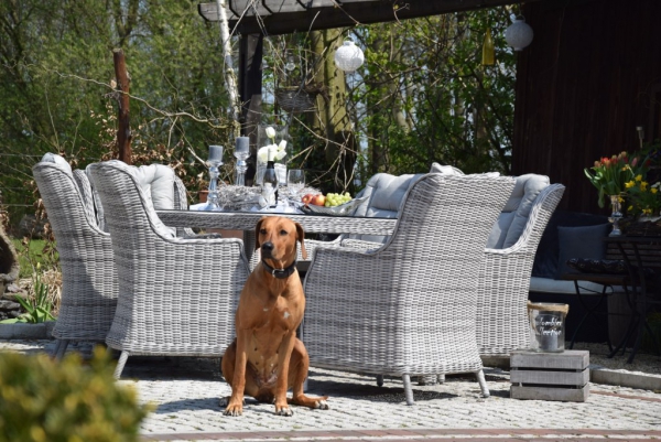 Esstischgruppe.Polyrattan Gartentisch Sitzgruppe WT-4022.C50
